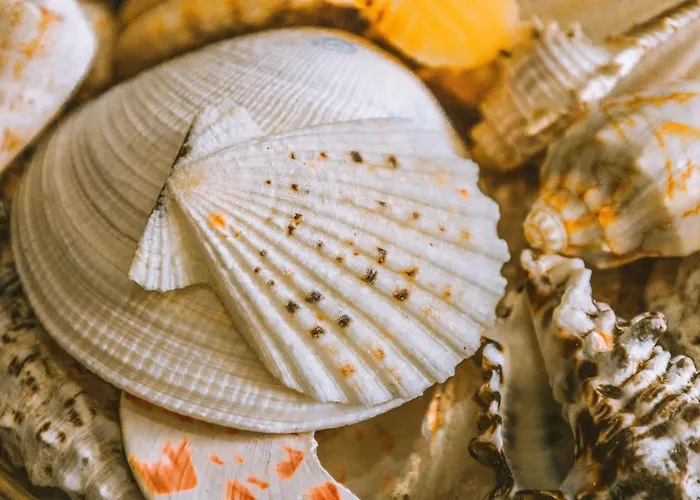 Hidden Bank: Pearls Filibe