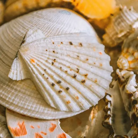 Hidden Bank: Pearls Пловдив